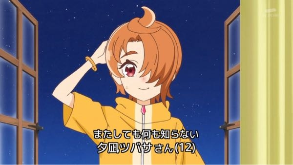 【プリキュア】小学生キュアのメンタルが落ち着きすぎている！？